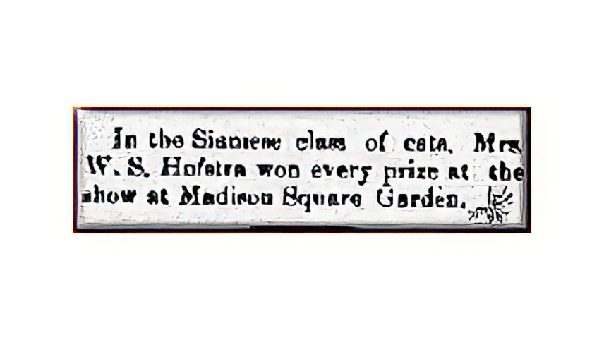 Mrs. Hofstra was President of the Atlantic Cat Club and offered the Hofstra Challenge Cup at the Madison Square Garden cat shows. The silver trophy, valued at one hundred and twenty five dollars in 1904, was awarded for the best cat in show.