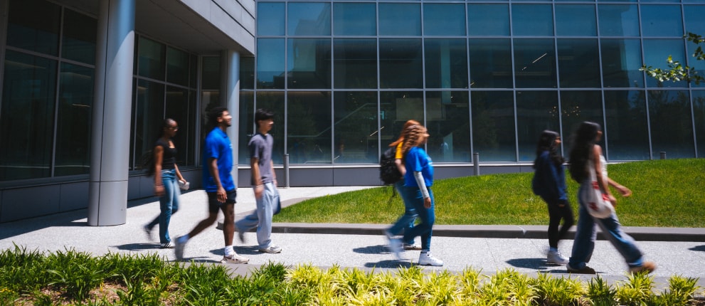 A group of young people walk together outside a modern glass building on a sunny day, passing by green grass and plants.