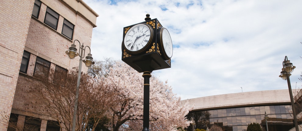 A black street clock with gold details stands on a pole near blooming cherry blossom trees, with two buildings and a vintage-style streetlamp in the background under a partly cloudy sky.