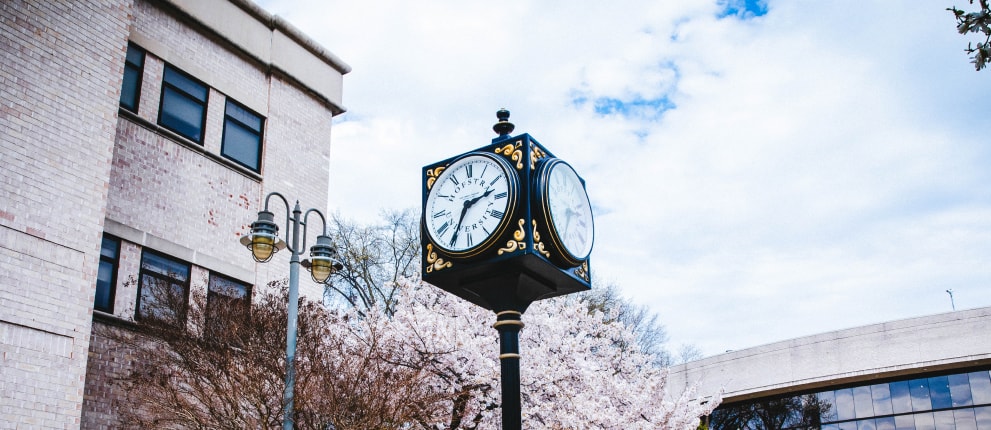 The iconic clock tower at Hofstra University